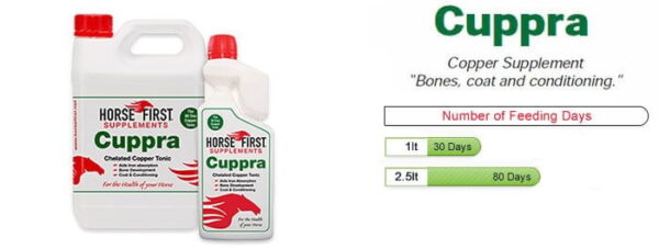 Horse First Cuppra | Liquid Copper Supplement to Support Equine Health - Image 4